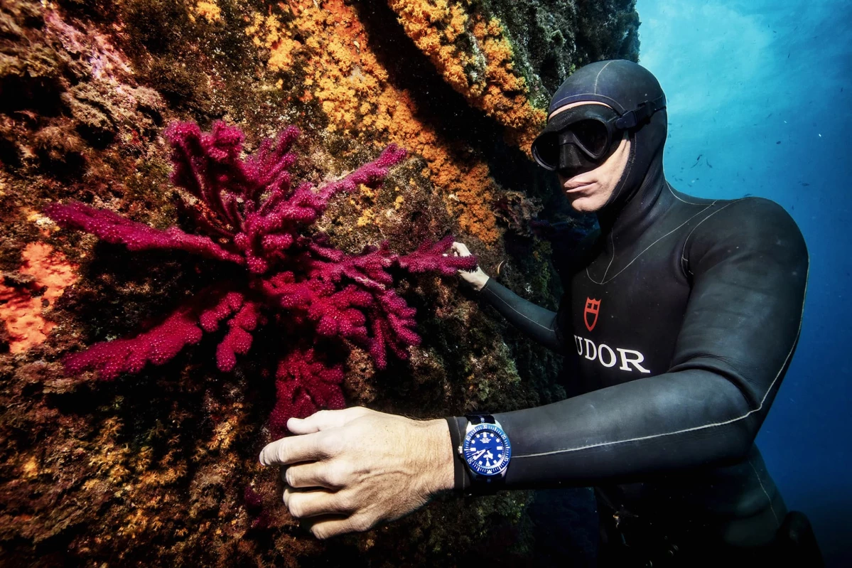 Tudor ambassador Morgan Bourc'his diving in the ocean