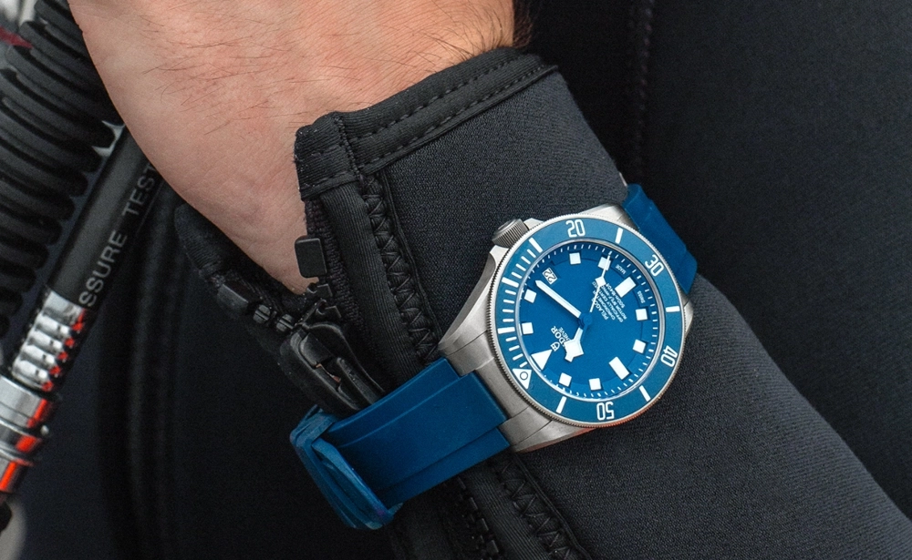 Test tudor sale pelagos