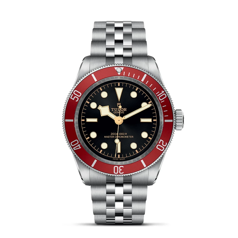 Tudor best sale watch finance